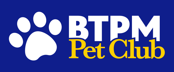 BTPM - Buffalo Toronto Public Media